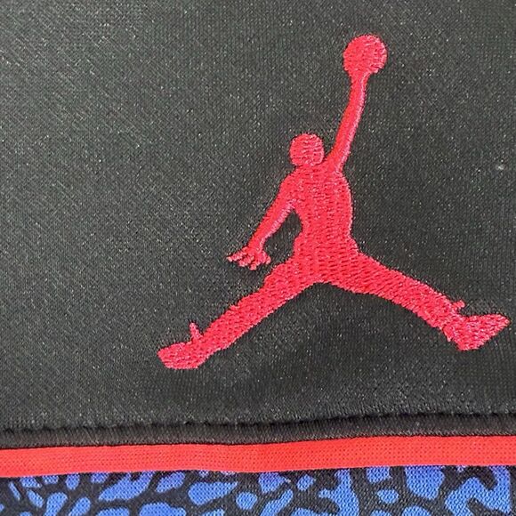Nike Jordan Therma-Fit Hoodie Youth XL 13-15Y Blue Elephant Print Full Zip - Picture 3 of 9